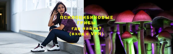 марки lsd Гусиноозёрск
